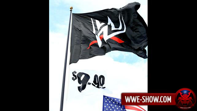 WWE logo 2014