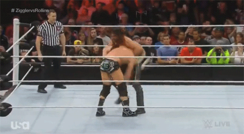 Seh Rollins finishing move