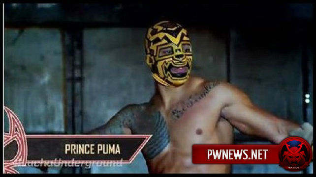 WWE хотят инди-звезд для фьюда с Финном Бэлором?