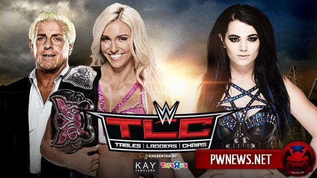 Charlotte vs. Paige — TLC 2015