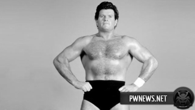Скончался бывший рестлер WWE
