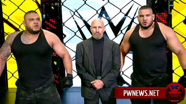 WWE назвали имена участников команды «Авторы Боли»