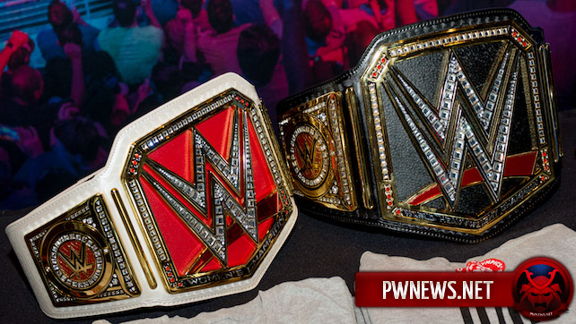WWE переименовали два титула на RAW