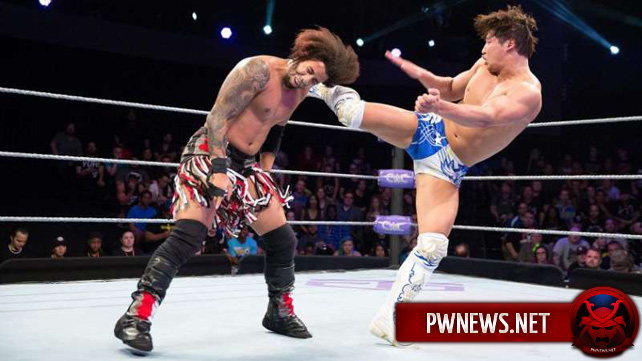 Бывший рестлер WWE проведет бой в ММА; Кота Ибуши не намерен подписывать долгосрочный контракт с WWE