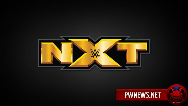 На NXT добавят новый чемпионский титул; Известны претенденты на титул и другое