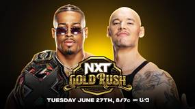 WWE NXT Gold Rush (английская версия)