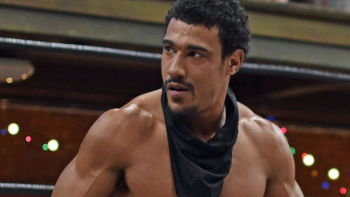 AR Fox / АР Фокс
