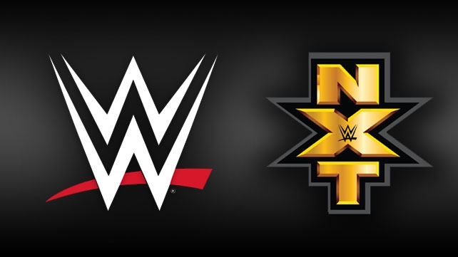 Тино Саббателли может получить новую роль на NXT; Несколько женских исполнителей из инди подпишут контракт с WWE