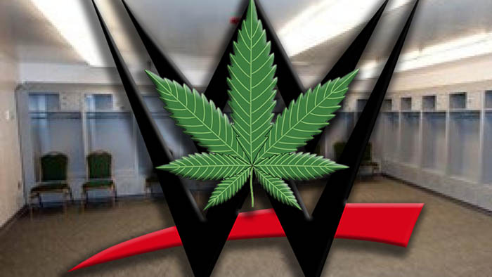 Даррен Янг заявил, что 90% ростера WWE используют марихуану