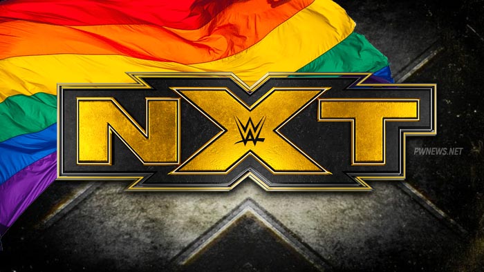 Звезда из женского дивизиона NXT совершила каминг-аут