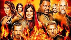 Матч за претендентство анонсирован на пре-шоу NXT TakeOver: XXX; Известны все участники лестничного матча (присутствуют спойлеры)