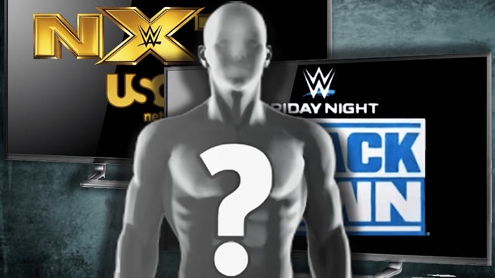 WWE отменили планы по воссоединению бывших командных чемпионов NXT в основном ростере