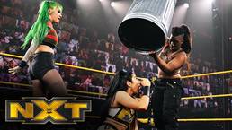 Как титульный матч повлиял на телевизионные рейтинги прошедшего NXT?