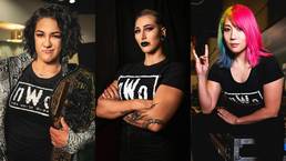 Действующие звёзды WWE сделали трибьют для группировки nWo (44 фото)