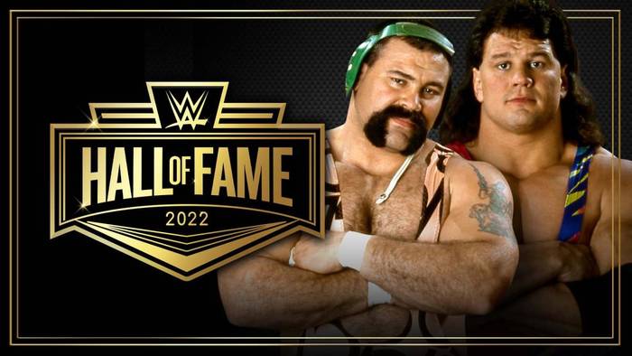 Братья Штайнеры будут введены в Зал Славы WWE 2022