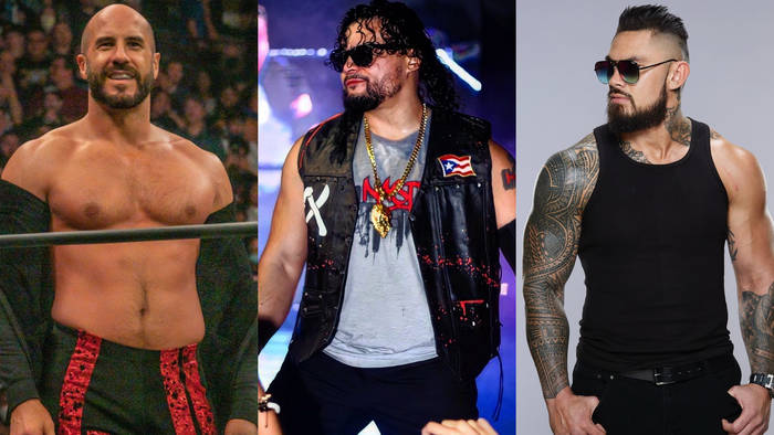 Обновление по состоянию здоровья Сантаны; WWE рассматривают вариант с привлечением двух звёзд NXT в основной ростер и другое