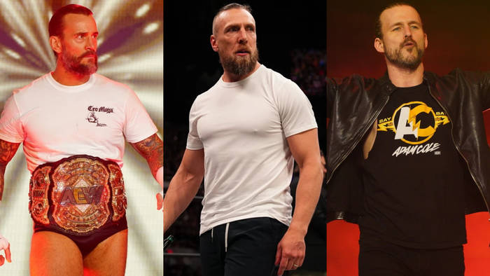 Обновления по статусам травмированных СМ Панка, Адама Коула и Брайана Дэниелсона; Бэнкс и Наоми убраны из внутреннего ростера WWE и другое