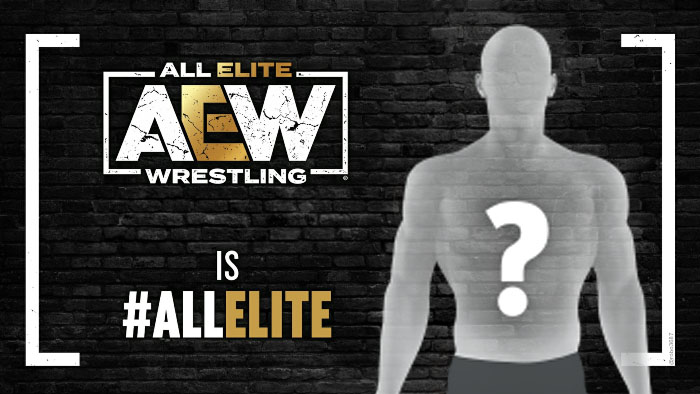Член Зала Славы WWE подписал многолетний контракт с AEW и получил большую должность в компании