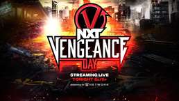 Большие события и дебют произошли в WWE на NXT Vengeance Day; Дайджак получил травму