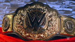 WWE объявили всех участников турнира за мировой титул в тяжё...