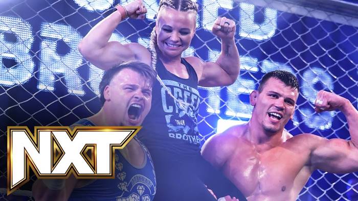Как матч в стальной клетке повлиял на телевизионные рейтинги прошедшего NXT?