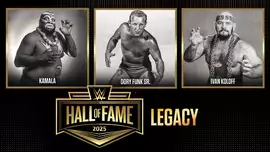 WWE объявили новых участников Зала славы 2025; Заметки по количеству матчей на WrestleMania 41 и другое
