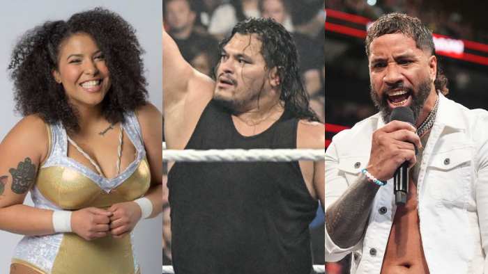 Отмененные планы на ринг-нейм Джеффа Кобба; Интерес WWE к Уиллоу Найтингейл и другое