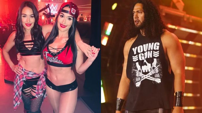 WWE обсуждают участие Бри Беллы на Evolution; Рестлер близок к возвращению после травмы и другое