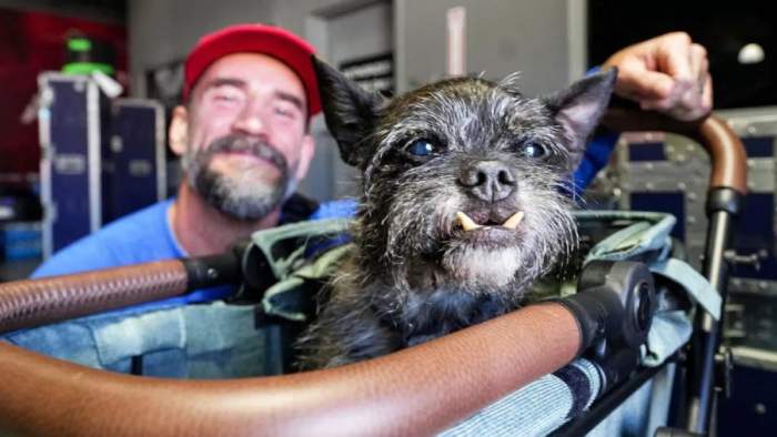 Умер Ларри — культовый пёс СМ Панка и ЭйДжей Ли