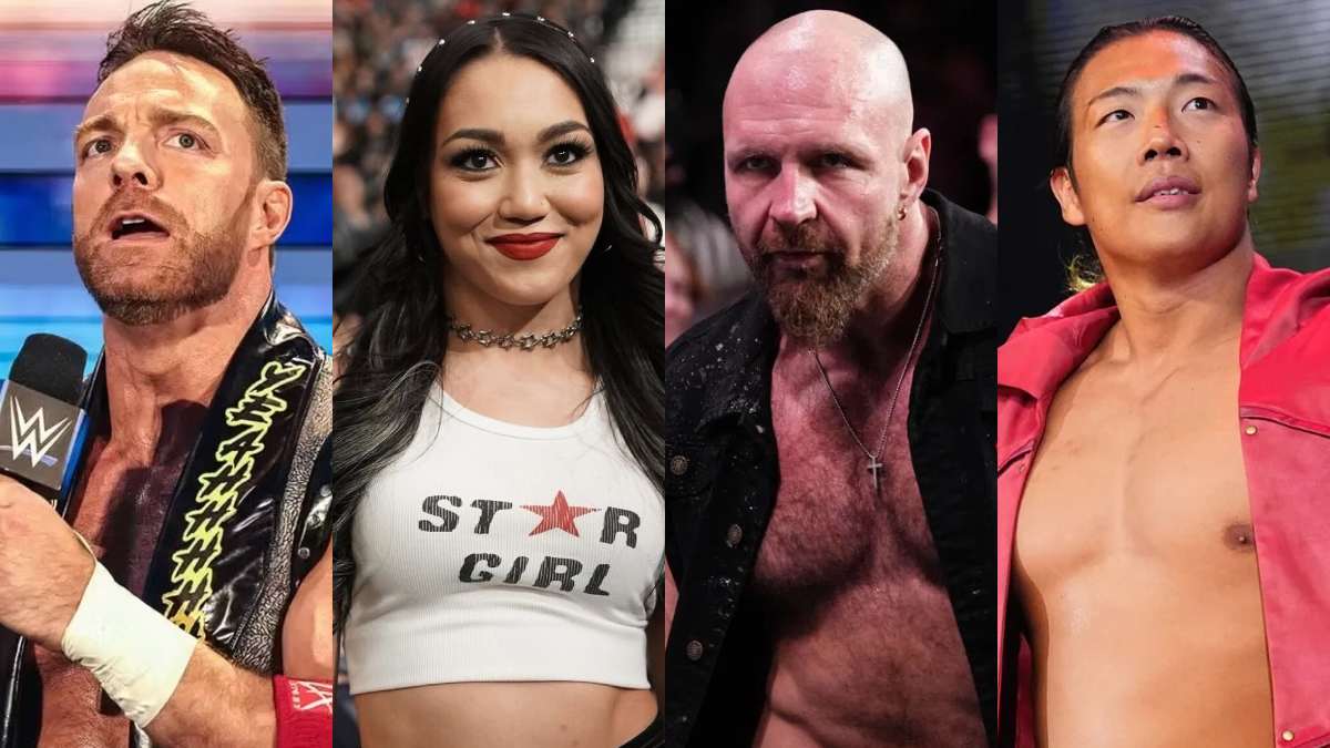 Статистика побед и поражений рестлеров WWE/AEW по итогам 2025 года