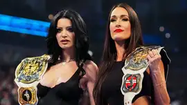 Чем закончились похороны пряничного человечка на SmackDown; ...