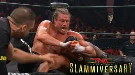 Чем закончился матч за мировое чемпионство TNA на Slammivers...