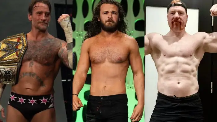 СМ Панк получит продолжительный титульный забег; WWE не рассматривали подписание Джека Перри и другое