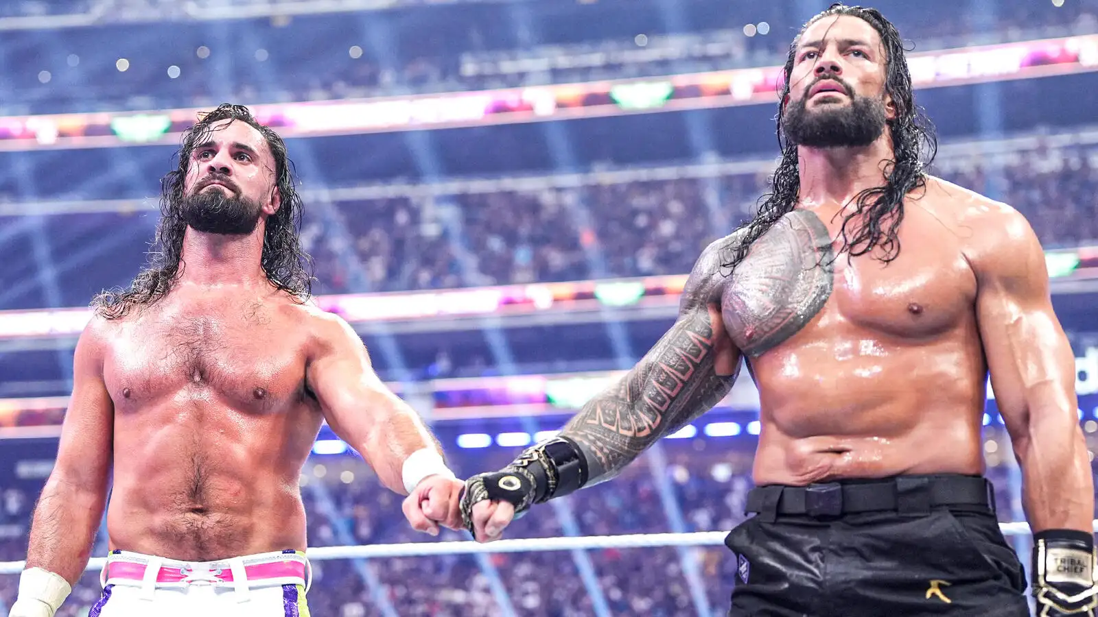 Дэйв Мельтцер похвалил матч Романа Рейнса и Сета Роллинса на SummerSlam 2026