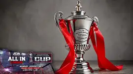 Финал турнира Continental Challenge Cup назначен на All In 2...