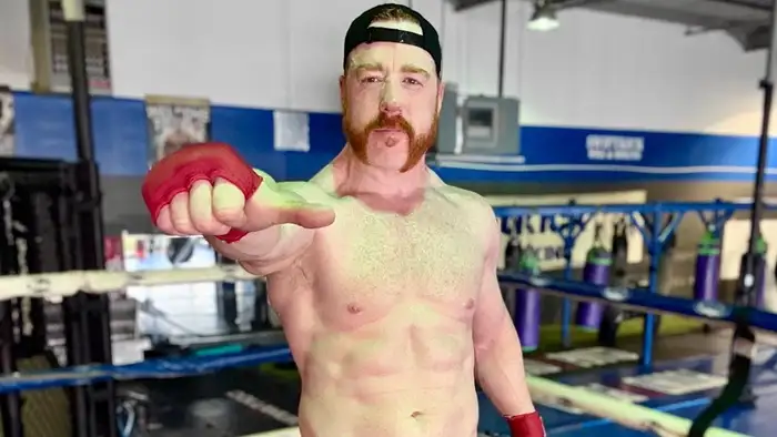 Обновление по будущему Шеймуса; Brawling Birds будут защищать чемпионства на WrestleDream и другое