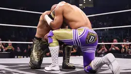 Дэйв Мельтцер оценил WWE Worlds Collide 2026, шоу с трибьюто...