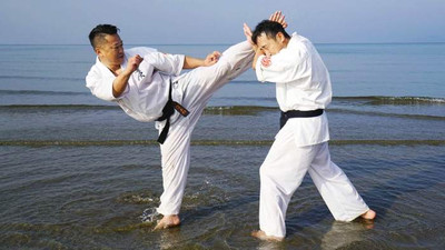 Все стили каратэ: полное руководство по направлениям, техникам и философии