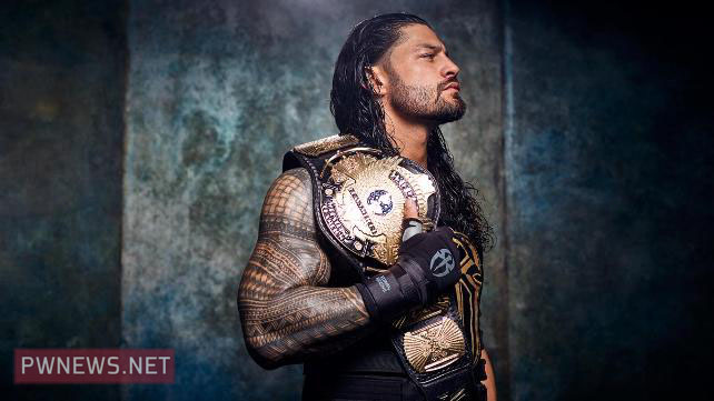 Суперзвёзды WWE и ретро титулы (28 фото)