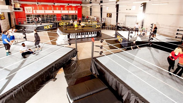 WWE рассматривают создание подготовительного центра в Японии