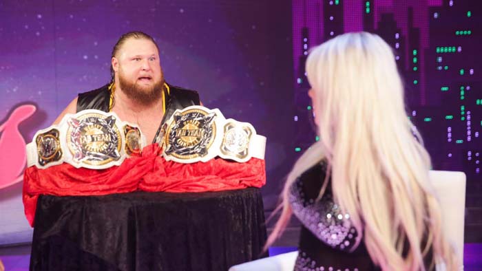WWE сообщили правила и условия, по которым пройдет женский Elimination Chamber матч за командные титулы