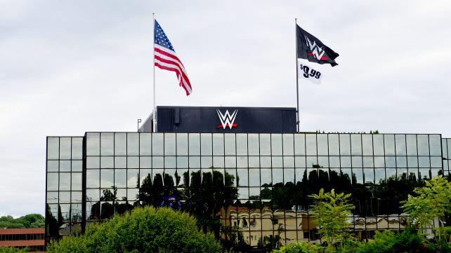 WWE сообщили о рекордном доходе в истории компании за минувший год